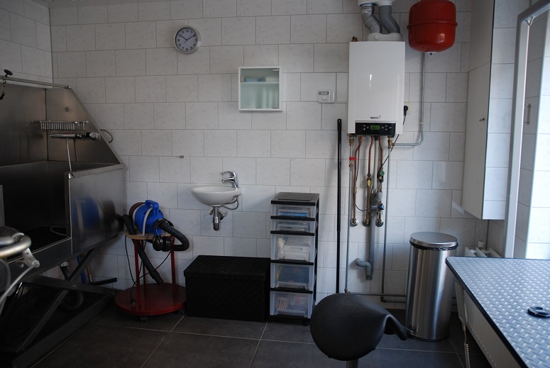 hondentrimsalon aan huis hondentrimsalon de blije snoet hondentrimsalon aan huis hondentrimsalon de blije snoet